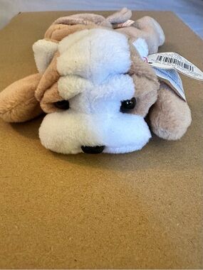 Ty Beanie Baby- Beanie Babies Collection NWT Wrinkles 1996